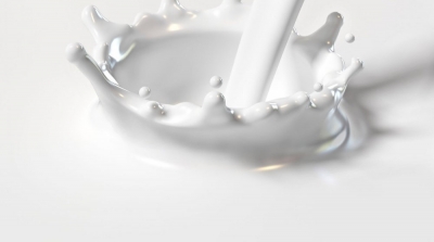 وزارة التجارة : الحليب المعلب المعروض للبيع خال من اي اضافات مضرة 