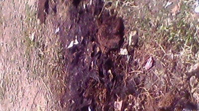 سليانة: انفجار قنبلة بمعتمدية برقو