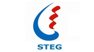 تعيين رشيد دالي رئيسا مديرا عاما للشركة التونسية للكهرباء والغاز