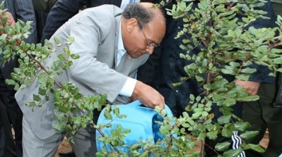 المرزوقي يستنكر عمليات الحرق المفتعلة التي طالت غابات تونسية