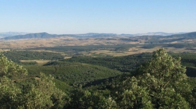 جندوبة : عمليات تمشيط في منطقة سوق الاربعاء بحثا عن عناصر ارهابية 