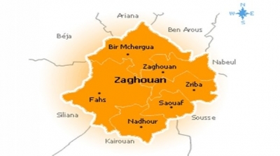 زغوان : حجز 3 بنادق صيد غير مرخص فيها و 19 خرطوشة في عملية مداهمة 