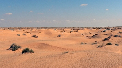 ايقاف عدد من الخليجيين بصدد الصيد دون رخصة في صحراء تطاوين 