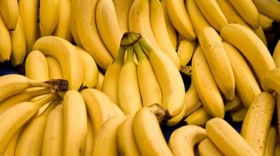 تطاوين : حجز حوالي طن من الموز و 500 علبة تبغ كانت معدة للتهريب