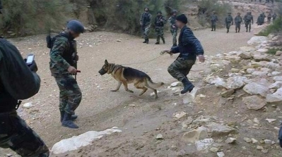 الجيش يستأنف قصف جبل الشعانبي بالمدفعية الثقيلة اثر رصده لتحركات مشبوهة