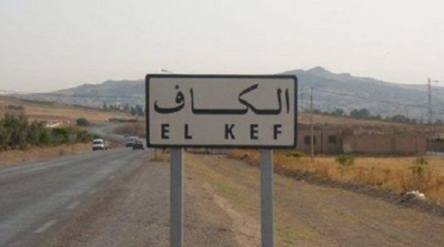  الكاف: محتجون يرفعون شعار " يحيا بو تفليقة" في الدهماني