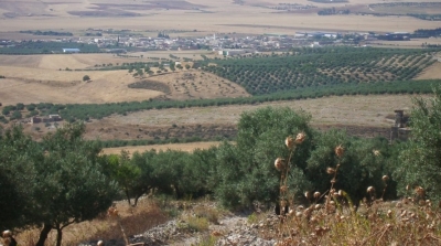 باجة: العثور على سلاح ناري و12 رصاصة بجبل التلة في قبلاط