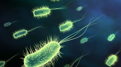 باحثون تونسيون يطورون لواقط استشعار الكائنات الدقيقة و الملوثات العضوية