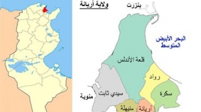 احتجاجات امام مقر ولاية اريانة بسبب تعيين معتمد اول ''نهضاوي''  
