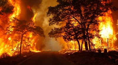 زغوان : حريق هائل يأتي على 3 هكتارات من الحبوب في احدى الضيعات الدولية 
