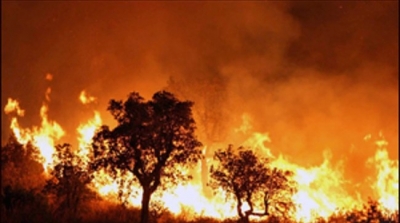 حرائق في جندوبة و بنزرت تتسبب في اتلاف 13 هكتارا 