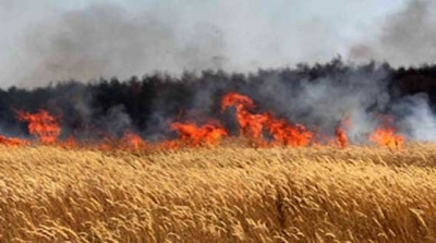 الكاف : حريق يأتي على 80 هكتارا من القمح اللين