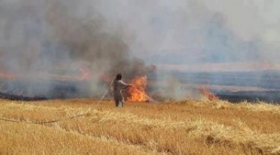 تزامنا مع زيارة المرزوقي : حريق يأتي على 13 هكتارا من الحبوب و الفول في باجة