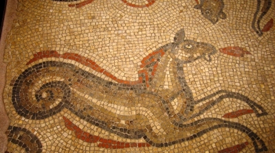 العثور على لوحات فيسيفسائية نادرة في سيدي بوزيد