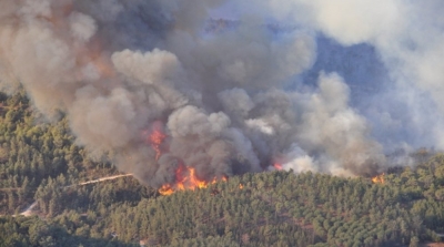 القصرين : اندلاع حريق في جبل السلوم 