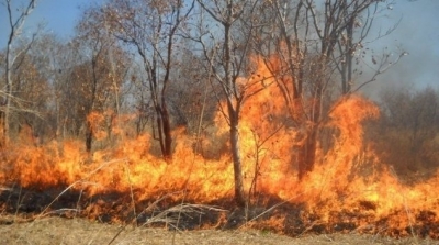 اندلاع 3 حرائق في مناطق متفرقة من ولاية باجة