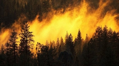 الكاف : الســــيطرة على 3 حرائق في جبال ورغة 