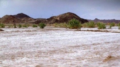 القصرين: اعصار يتسبب في خسائر فادحة بالقطاع الفلاحي