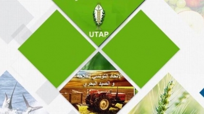 اتحاد الفلاحة والصيد البحري يطالب بفتح تحقيق بشأن اعتداء خافرة عسكرية ليبية على بحارة تونسيين