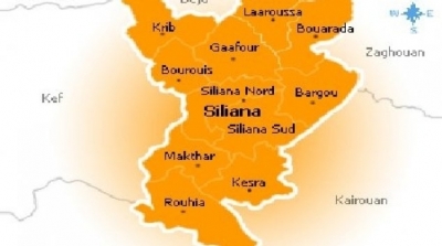 بسبب علاقة عاطفية : شابين يطلقان الرش على 4 تلميذات في سليانة