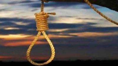 كهل ينتحر شنقا في شجرة زيتون بالقيروان