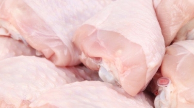 نابل : حجز طن و نصف من لحوم الدواجن الفاسدة في بني خيار