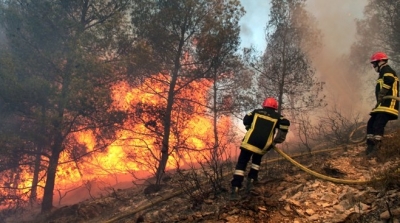 الكاف : حريق بجيل سيف يأتي على مساجات كبيرة من الغابة