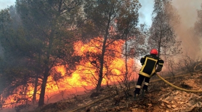 الكاف : درجات الحرارة تتسبب في اندلاع حريق بجبل تكرونة