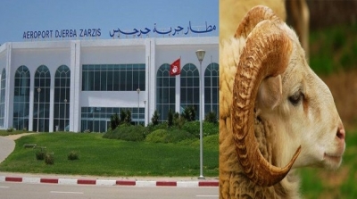 بالفيديو : تونسي مقيم بالخارج يصطحب معه خروف لمطار جربة جرجيس الدولي 