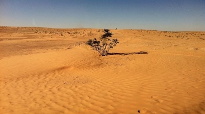 تطاوين : الحرس السياحي ينقذ 4 سياح تاهوا في الصحراء 