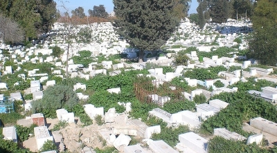 سليانة : القبض على 4 نساء بصدد سرقة يد احد الاموات من مقبرة لاستعمالها في ''السحر'' 