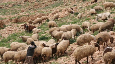 سيدي بوزيد: الأهالي يقررون التوجه إلى مكان العملية الإرهابية بحثا عن جثة الطفل الشهيد 
