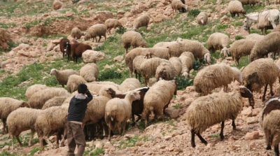 اهالي سلتة عثروا على جثة الراعي الشهيد مبروك السلطاني  