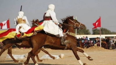 وزير الثقافة يغادر مهرجان الفروسية في بوحجلة بعد نشوب معركة بين الفرسان 