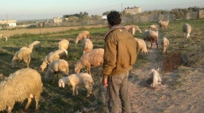 Kasserine : Décès du berger torturé par les terroristes