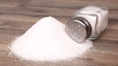 Slim Feriani : Absence de mécanismes pour la fixation des prix du sel