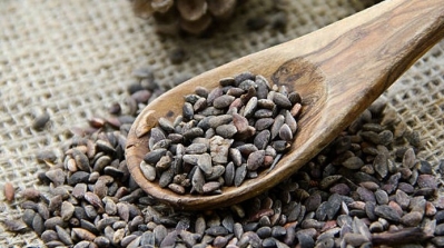 Saisie de plus de 2200 kg de zgougou et fruits secs impropres à la consommation