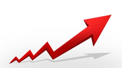 Le taux d’inflation se stabilise à 7,4% en novembre 2018