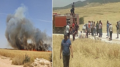 Le Kef : 200 hectares de cultures céréalières ravagés par le feu