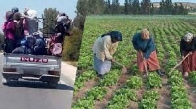 Sidi Bouzid : 12 travailleurs agricoles blessés dans un accident