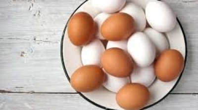 Ramadan: Nouvelle baisse du prix des oeufs