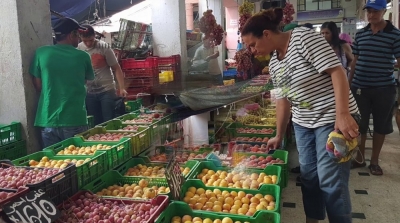 Les marchés de gros ouverts tous les jours de la semaine