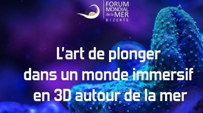 Bizerte : L’art de plonger dans un monde immersif en 3D autour de la mer