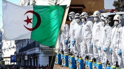 Algérie : 535 nouveaux cas enregistrés de Covid-19 en 24h