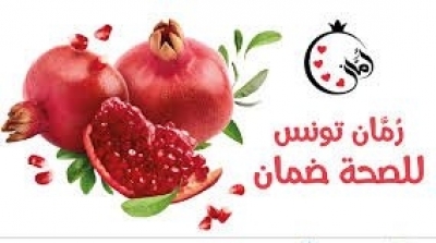 Tunisie : L'accès au marché, au coeur de la démarche du projet Pampat