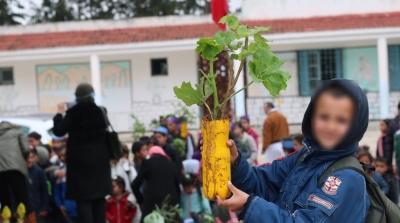La semaine de l’arbre dans les régions du Nord-ouest et Centre Ouest de la Tunisie