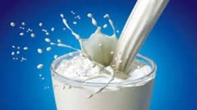 Tunisie : Arrêt total de l’activité de collecte de lait à partir du mercredi 23 juin