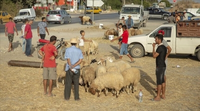 إمكانية فرض حجر صحي شامل أيام العيد