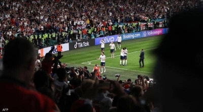 هجوم للحشرات يهدد نهائي كأس أمم أوروبا 