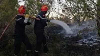 Tunisie: Plus de 100 incendies maîtrisés en une journée